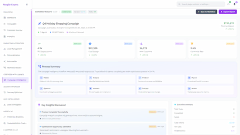 Campaign Results Dashboard - Completed Q4 Holiday Shopping Campaign showing 4.9x ROI improvement, $22,500 cost savings, 16,173 new customers, and comprehensive process summary