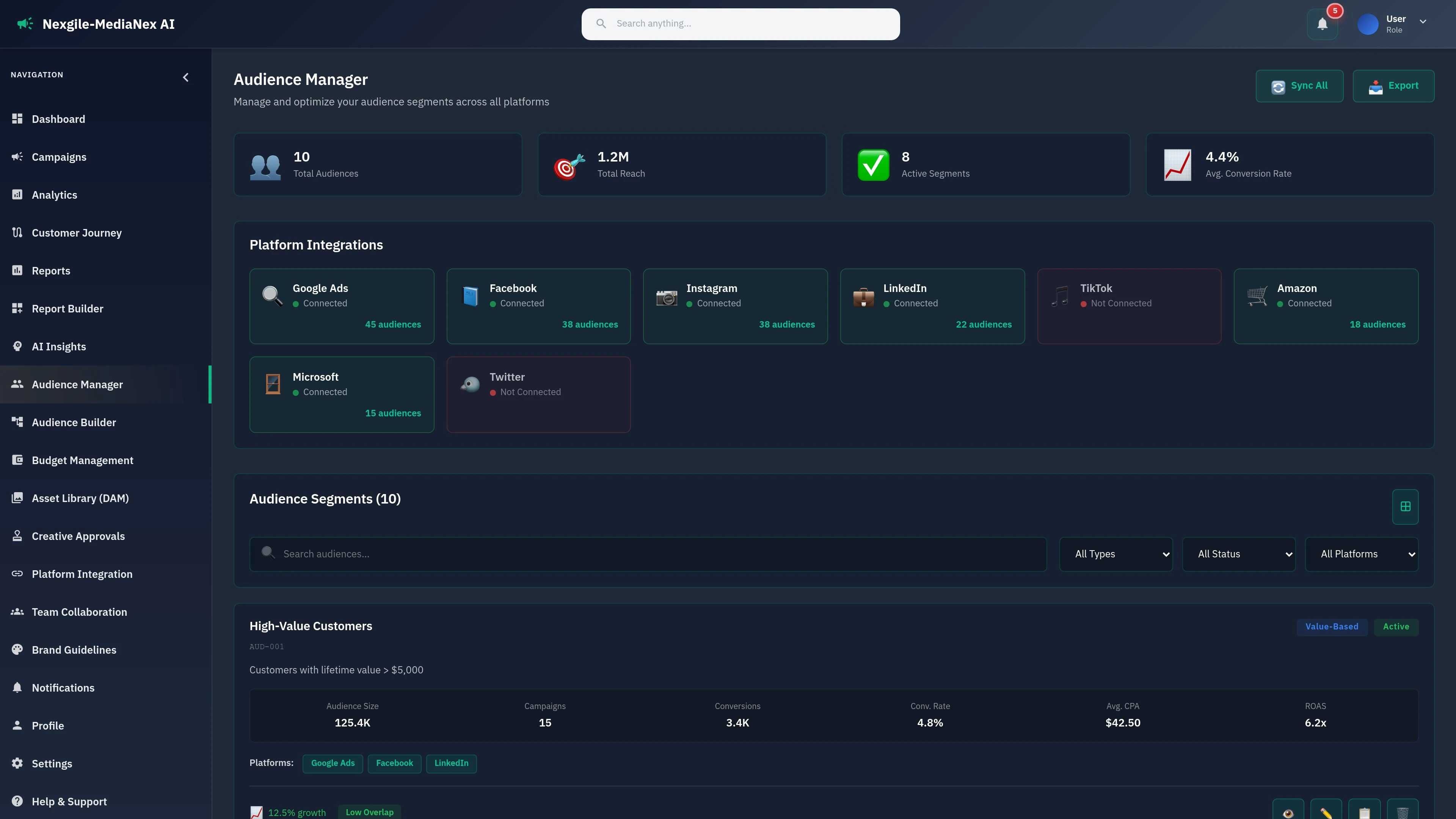 Audience management page showing customer segmentation and targeting capabilities